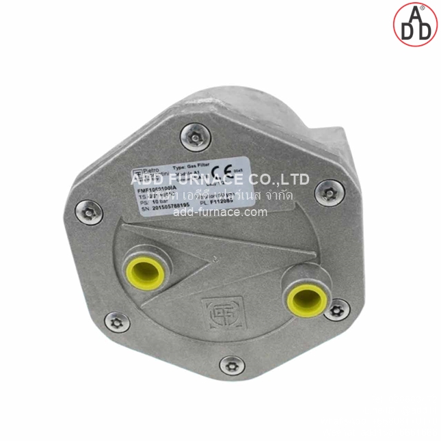 Pietro Fiorentini Gas Filter FMF1060100IA (1)